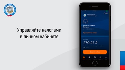 Скриншот Налоги ФЛ 2