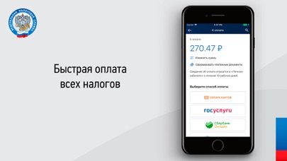Скриншот Налоги ФЛ 3