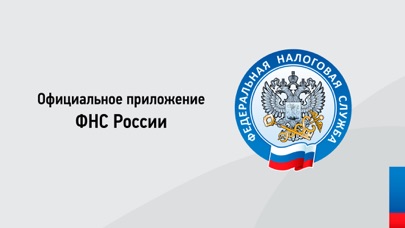Скриншот Налоги ФЛ 1